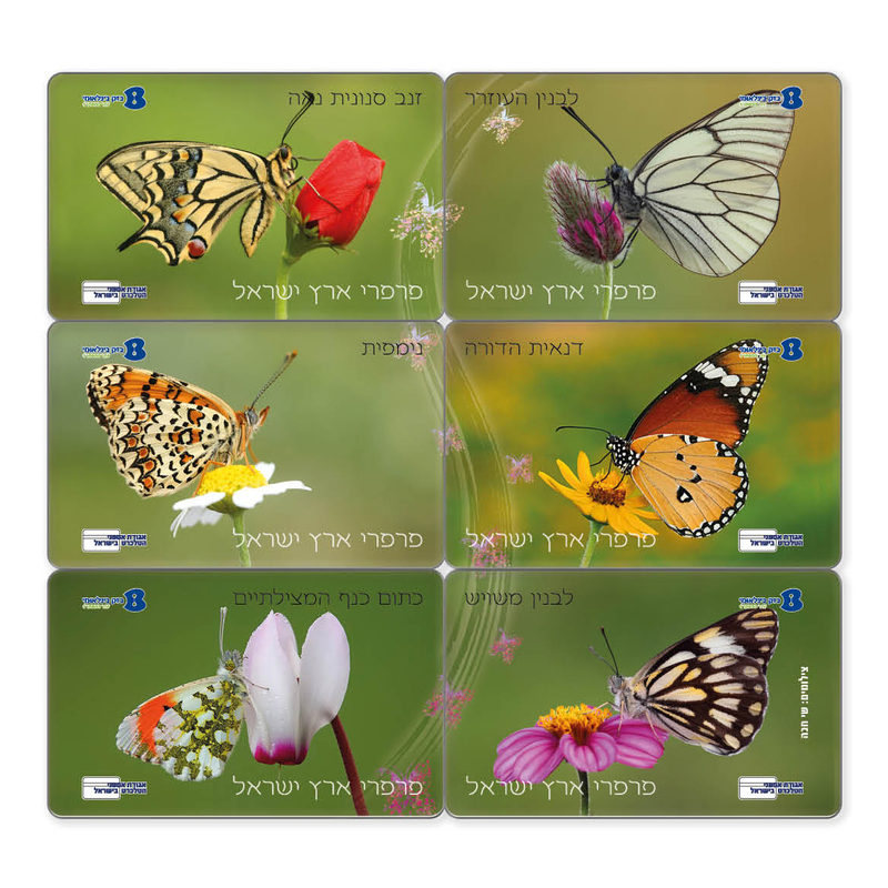 עבודה מתוך טלכרטים — 2