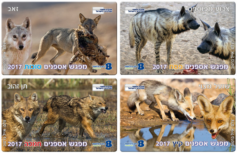 עבודה מתוך טלכרטים — 8