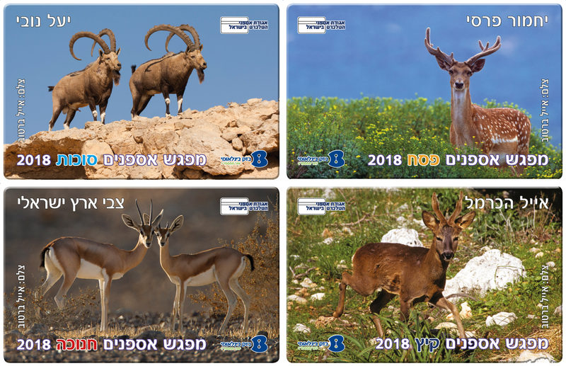 עבודה מתוך טלכרטים — 9