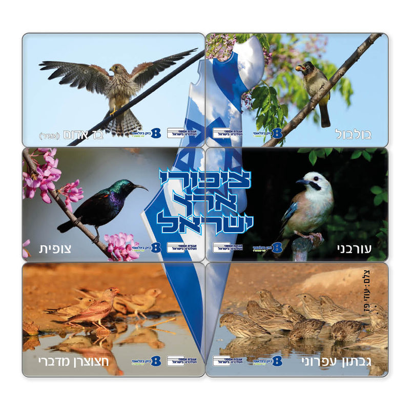 עבודה מתוך טלכרטים — 14